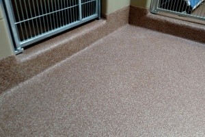 Resinous Floor Coatings for Vets